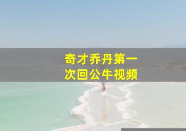 奇才乔丹第一次回公牛视频