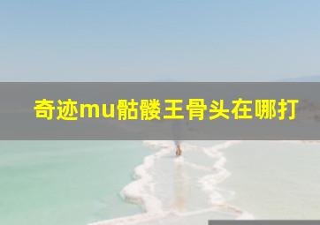 奇迹mu骷髅王骨头在哪打