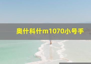 奥什科什m1070小号手