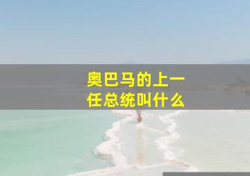 奥巴马的上一任总统叫什么