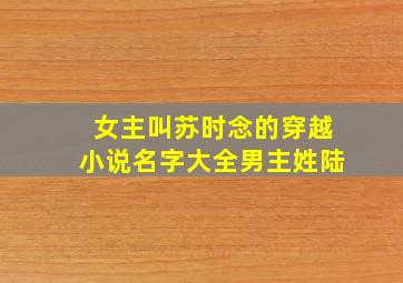 女主叫苏时念的穿越小说名字大全男主姓陆