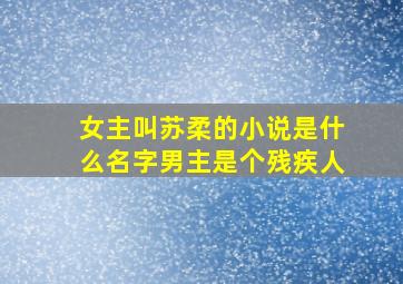 女主叫苏柔的小说是什么名字男主是个残疾人