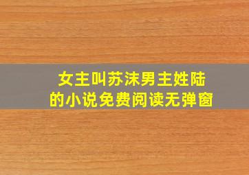 女主叫苏沫男主姓陆的小说免费阅读无弹窗