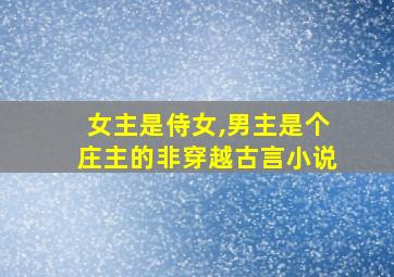 女主是侍女,男主是个庄主的非穿越古言小说