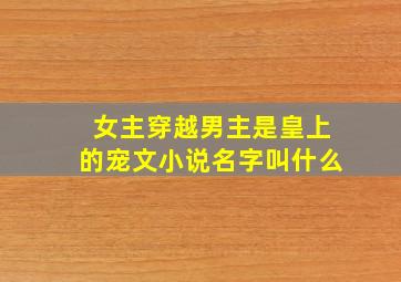 女主穿越男主是皇上的宠文小说名字叫什么