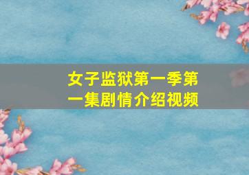 女子监狱第一季第一集剧情介绍视频