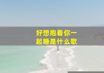 好想抱着你一起睡是什么歌