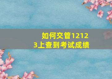 如何交管12123上查到考试成绩