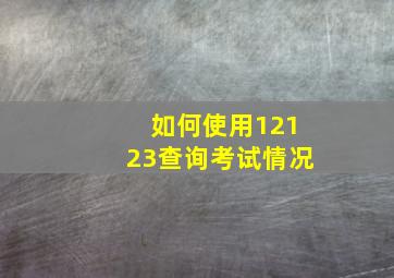 如何使用12123查询考试情况