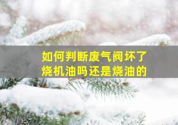 如何判断废气阀坏了烧机油吗还是烧油的