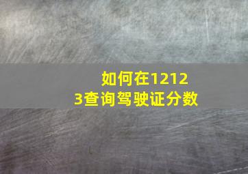 如何在12123查询驾驶证分数