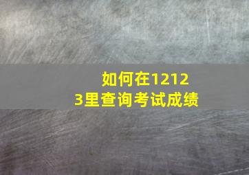 如何在12123里查询考试成绩