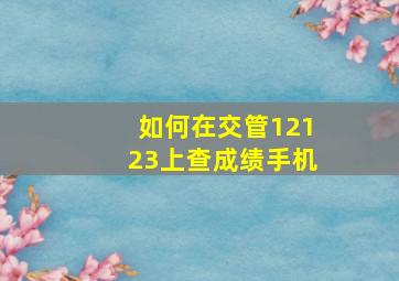 如何在交管12123上查成绩手机