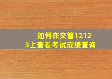 如何在交管12123上查看考试成绩查询