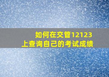 如何在交管12123上查询自己的考试成绩