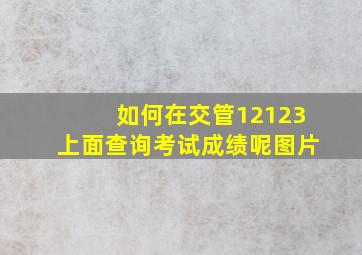 如何在交管12123上面查询考试成绩呢图片