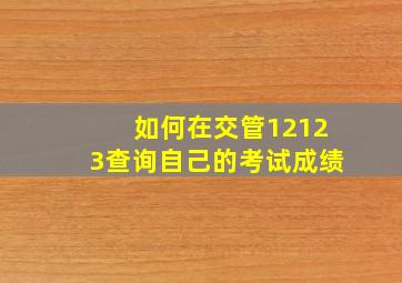 如何在交管12123查询自己的考试成绩