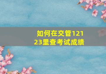 如何在交管12123里查考试成绩