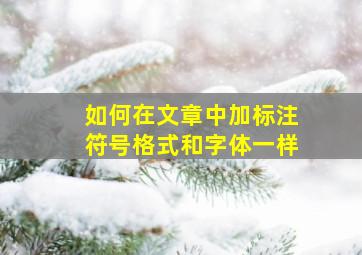 如何在文章中加标注符号格式和字体一样