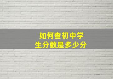 如何查初中学生分数是多少分