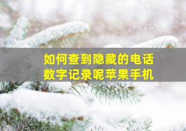 如何查到隐藏的电话数字记录呢苹果手机