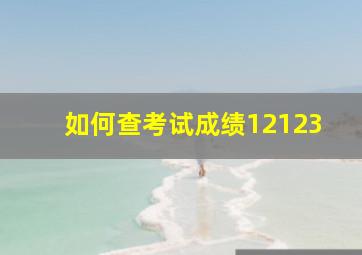 如何查考试成绩12123