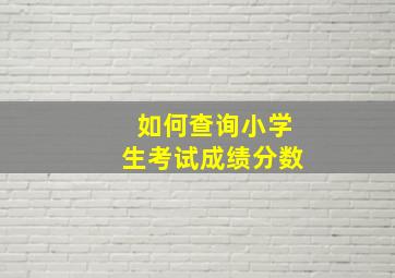 如何查询小学生考试成绩分数