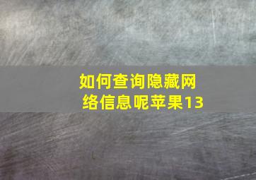 如何查询隐藏网络信息呢苹果13