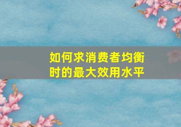 如何求消费者均衡时的最大效用水平