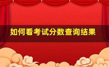 如何看考试分数查询结果