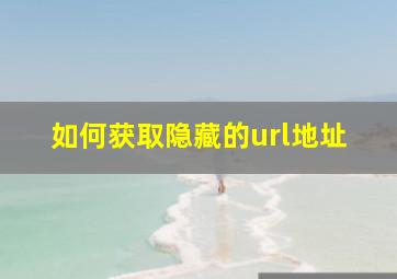 如何获取隐藏的url地址