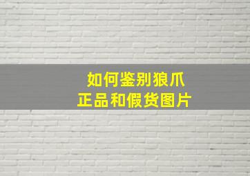 如何鉴别狼爪正品和假货图片