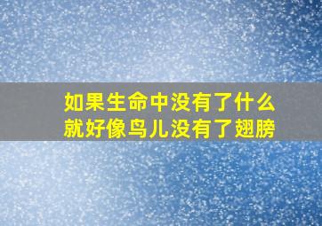 如果生命中没有了什么就好像鸟儿没有了翅膀