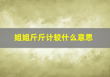 姐姐斤斤计较什么意思