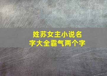 姓苏女主小说名字大全霸气两个字