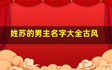 姓苏的男主名字大全古风