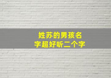 姓苏的男孩名字超好听二个字