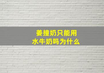 姜撞奶只能用水牛奶吗为什么