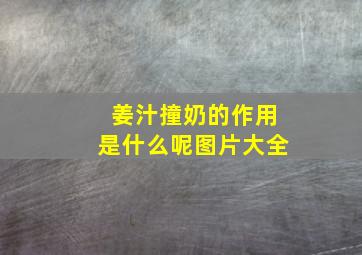 姜汁撞奶的作用是什么呢图片大全