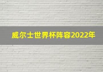 威尔士世界杯阵容2022年