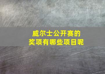 威尔士公开赛的奖项有哪些项目呢