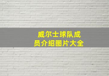 威尔士球队成员介绍图片大全