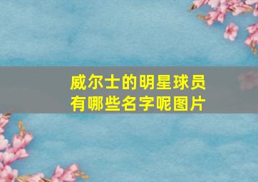 威尔士的明星球员有哪些名字呢图片