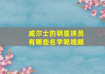 威尔士的明星球员有哪些名字呢视频