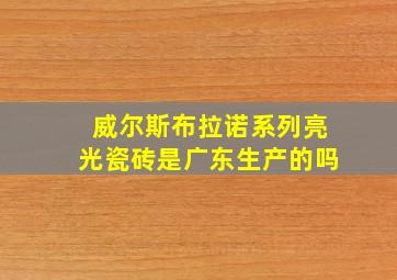 威尔斯布拉诺系列亮光瓷砖是广东生产的吗