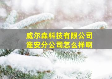 威尔森科技有限公司淮安分公司怎么样啊