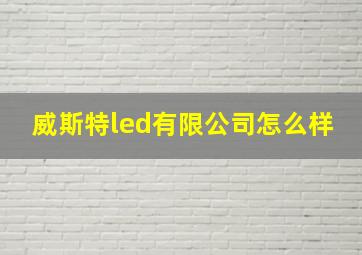 威斯特led有限公司怎么样