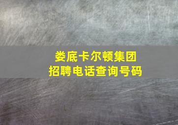 娄底卡尔顿集团招聘电话查询号码