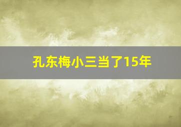 孔东梅小三当了15年