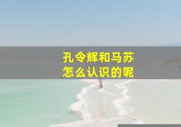 孔令辉和马苏怎么认识的呢